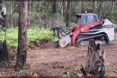 site clearing fire mitigation services